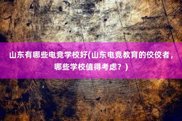 山东有哪些电竞学校好(山东电竞教育的佼佼者，哪些学校值得考虑？)