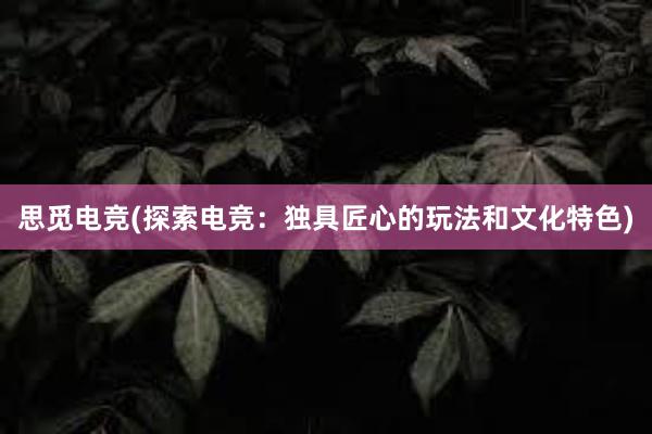 思觅电竞(探索电竞：独具匠心的玩法和文化特色)