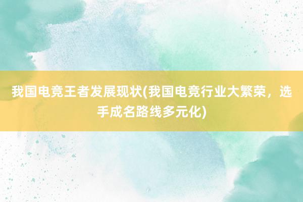 我国电竞王者发展现状(我国电竞行业大繁荣，选手成名路线多元化)