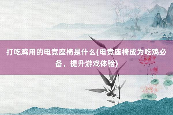 打吃鸡用的电竞座椅是什么(电竞座椅成为吃鸡必备，提升游戏体验)