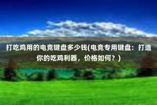 打吃鸡用的电竞键盘多少钱(电竞专用键盘：打造你的吃鸡利器，价格如何？)