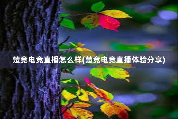 楚竞电竞直播怎么样(楚竞电竞直播体验分享)