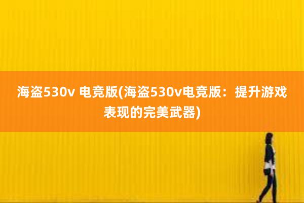 海盗530v 电竞版(海盗530v电竞版：提升游戏表现的完美武器)