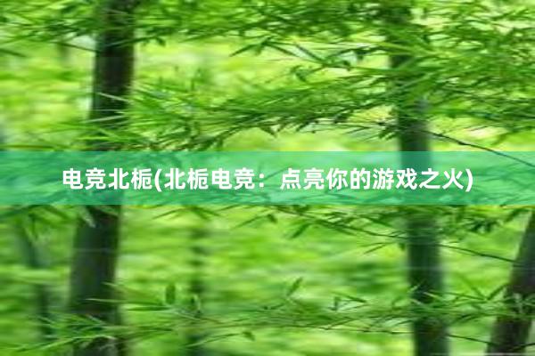 电竞北栀(北栀电竞：点亮你的游戏之火)