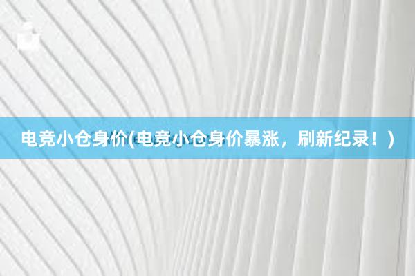 电竞小仓身价(电竞小仓身价暴涨，刷新纪录！)