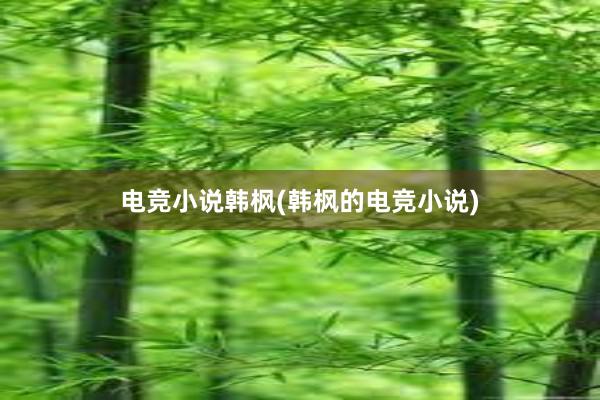 电竞小说韩枫(韩枫的电竞小说)