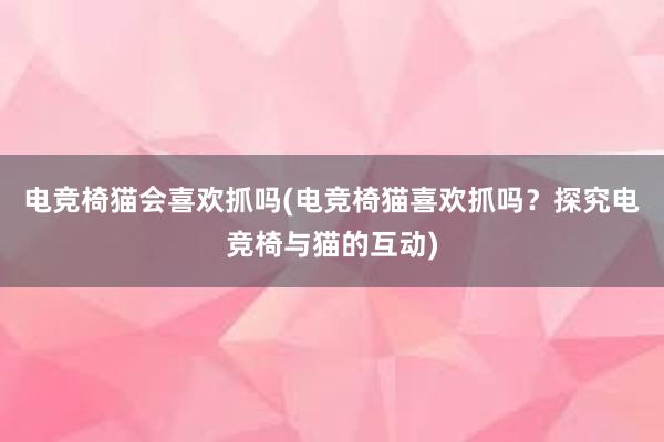 电竞椅猫会喜欢抓吗(电竞椅猫喜欢抓吗？探究电竞椅与猫的互动)