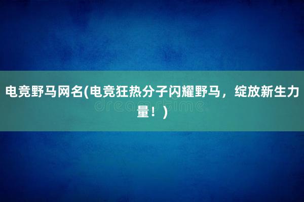 电竞野马网名(电竞狂热分子闪耀野马，绽放新生力量！)