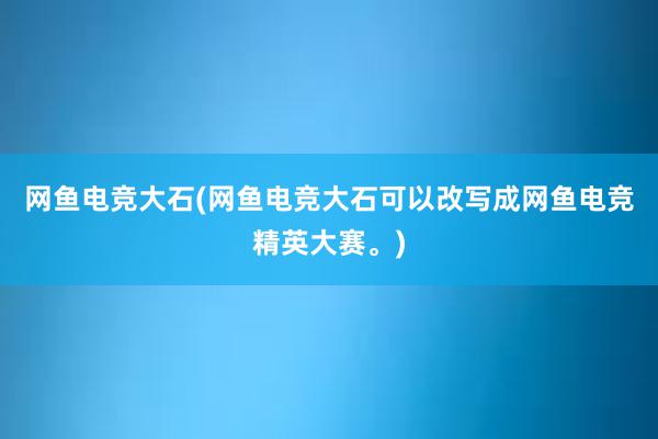 网鱼电竞大石(网鱼电竞大石可以改写成网鱼电竞精英大赛。)