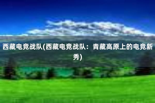 西藏电竞战队(西藏电竞战队：青藏高原上的电竞新秀)