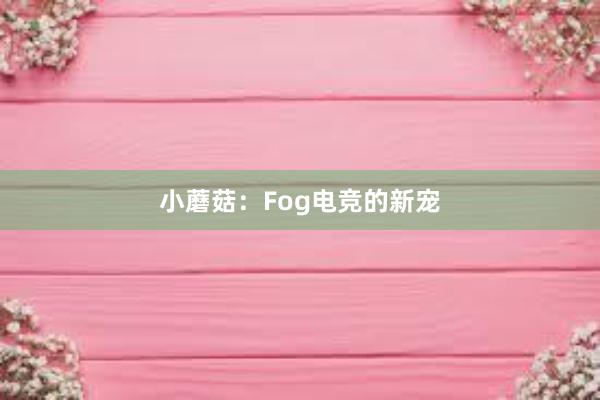 小蘑菇：Fog电竞的新宠