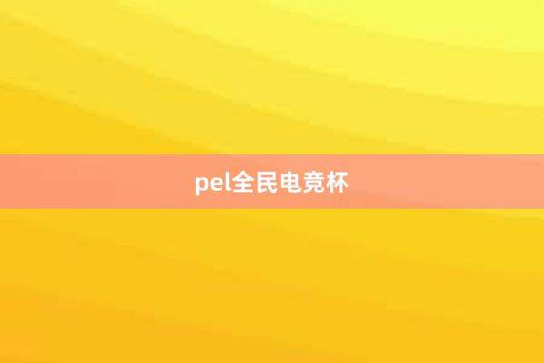 pel全民电竞杯