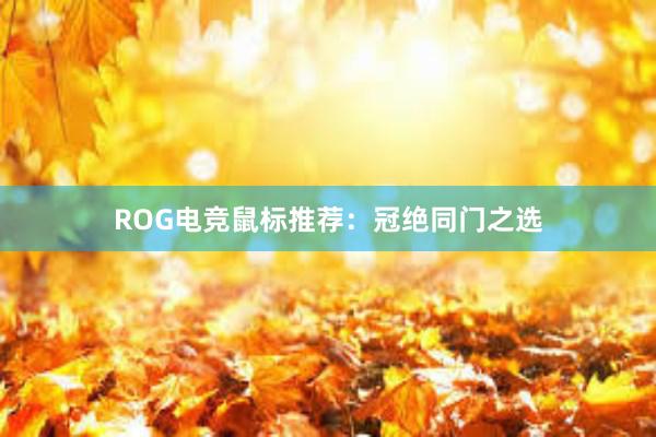 ROG电竞鼠标推荐：冠绝同门之选