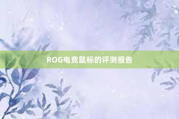 ROG电竞鼠标的评测报告