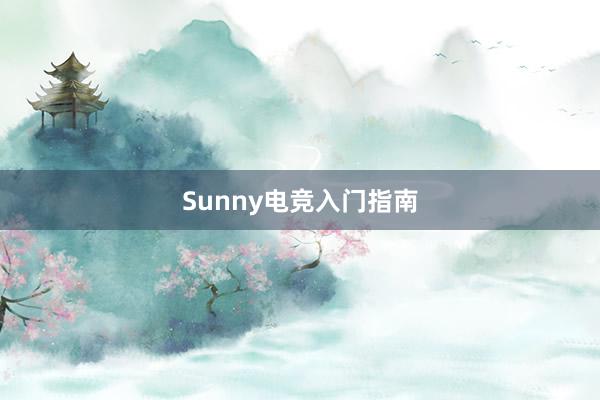 Sunny电竞入门指南