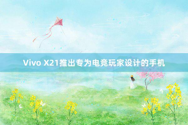 Vivo X21推出专为电竞玩家设计的手机