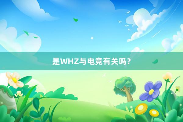 是WHZ与电竞有关吗？