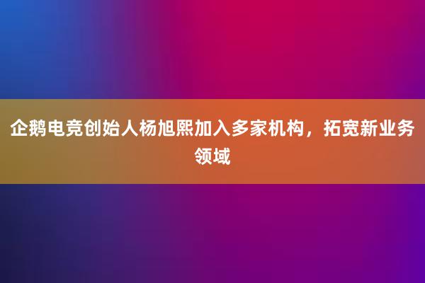 企鹅电竞创始人杨旭熙加入多家机构，拓宽新业务领域