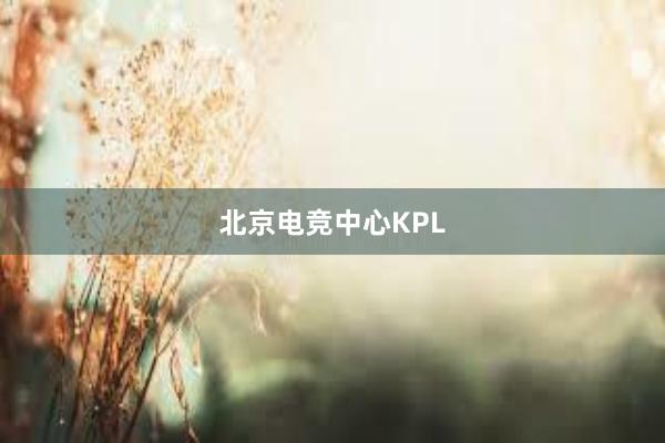 北京电竞中心KPL