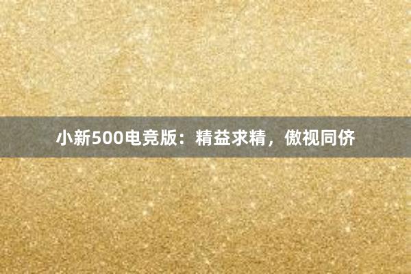 小新500电竞版：精益求精，傲视同侪