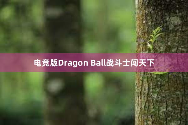 电竞版Dragon Ball战斗士闯天下