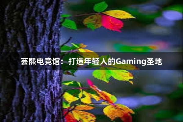 芸熙电竞馆：打造年轻人的Gaming圣地